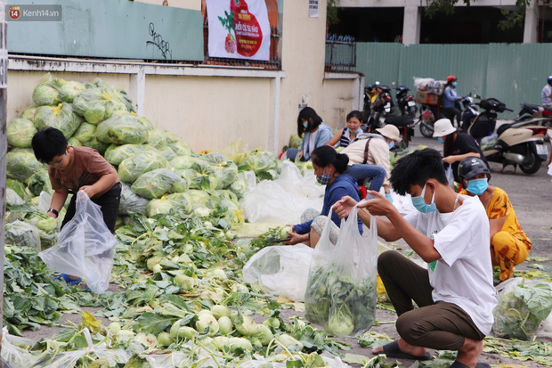 Rằm tháng Giêng, người Sài Gòn hồ hởi kéo nhau đi "giải cứu" bắp cải, su hào cho bà con Hải Dương Rằm tháng Giêng, người Sài Gòn hồ hởi kéo nhau đi "giải cứu" bắp cải, su hào cho bà con Hải Dương