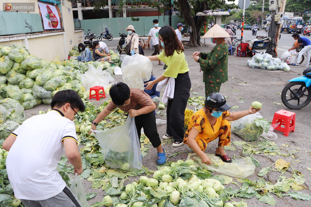 Rằm tháng Giêng, người Sài Gòn hồ hởi kéo nhau đi "giải cứu" bắp cải, su hào cho bà con Hải Dương - 19 Rằm tháng Giêng, người Sài Gòn hồ hởi kéo nhau đi "giải cứu" bắp cải, su hào cho bà con Hải Dương - 19