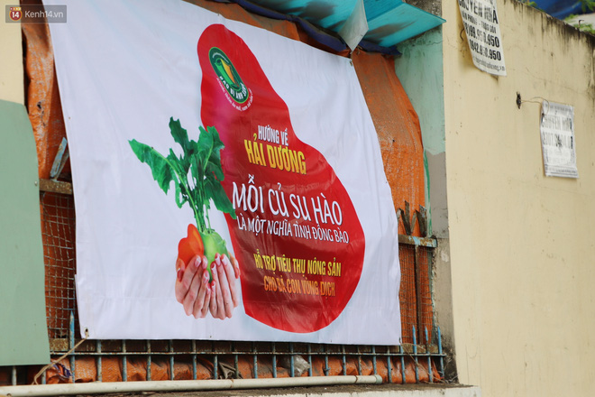 Rằm tháng Giêng, người Sài Gòn hồ hởi kéo nhau đi "giải cứu" bắp cải, su hào cho bà con Hải Dương - 5 Rằm tháng Giêng, người Sài Gòn hồ hởi kéo nhau đi "giải cứu" bắp cải, su hào cho bà con Hải Dương - 5