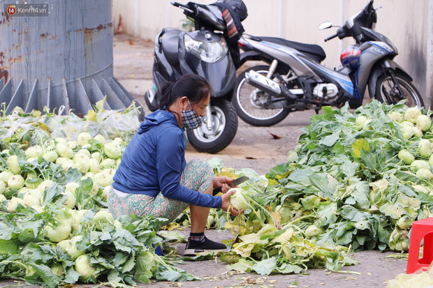 Rằm tháng Giêng, người Sài Gòn hồ hởi kéo nhau đi "giải cứu" bắp cải, su hào cho bà con Hải Dương - 13 Rằm tháng Giêng, người Sài Gòn hồ hởi kéo nhau đi "giải cứu" bắp cải, su hào cho bà con Hải Dương - 13