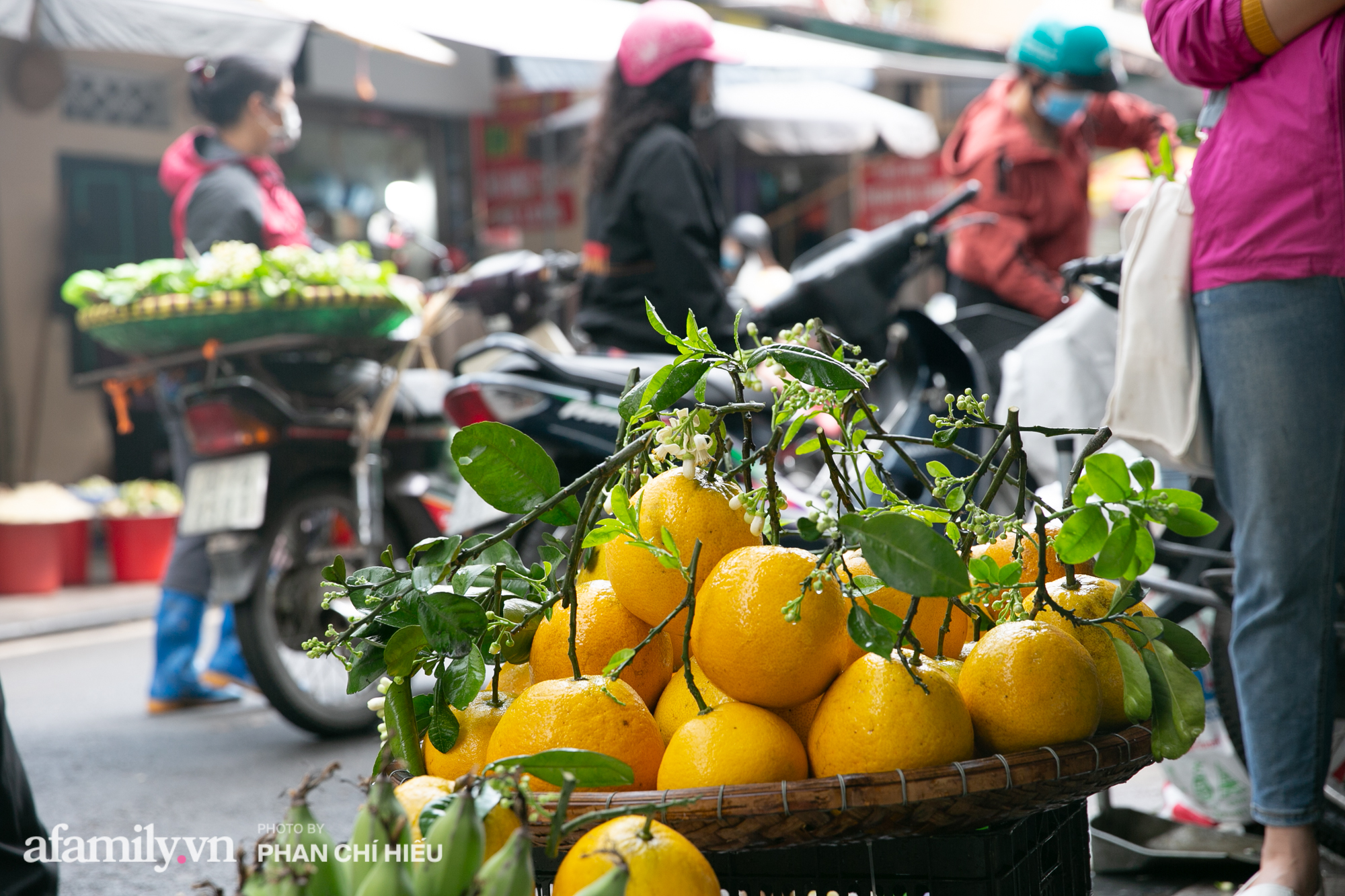 Hàng bưởi Diễn da vàng óng có từng búi hoa tươi trở thành món hàng siêu độc trên chợ nhà giàu Hà Nội - 12 Hàng bưởi Diễn da vàng óng có từng búi hoa tươi trở thành món hàng siêu độc trên chợ nhà giàu Hà Nội - 12