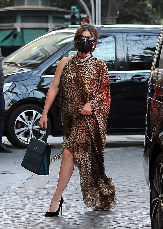 Kẻ trộm bắt chó của Lady Gaga, bắn trọng thương người giúp việc - 3 Kẻ trộm bắt chó của Lady Gaga, bắn trọng thương người giúp việc - 3