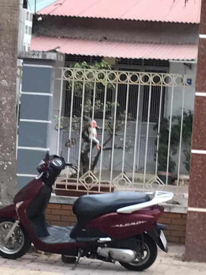 Rợn người với hình ảnh đứa bé đang ngồi vắt vẻ trên cây, lại gần thì phát hiện sự thực ngã ngửa Rợn người với hình ảnh đứa bé đang ngồi vắt vẻ trên cây, lại gần thì phát hiện sự thực ngã ngửa