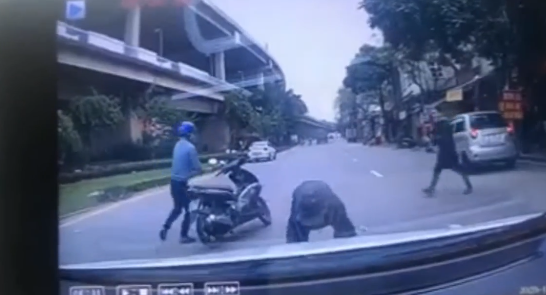 Clip: Thấy tiền rơi, nhóm đàn ông lao ra giữa đường tranh giành bất chấp nguy hiểm trước mũi ô tô - 1 Clip: Thấy tiền rơi, nhóm đàn ông lao ra giữa đường tranh giành bất chấp nguy hiểm trước mũi ô tô - 1