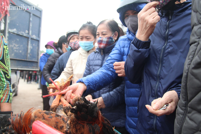 Người dân Hà Nội 'giải cứu' 20 tấn gà đồi Hải Dương chỉ trong 5 ngày - 4 Người dân Hà Nội 'giải cứu' 20 tấn gà đồi Hải Dương chỉ trong 5 ngày - 4