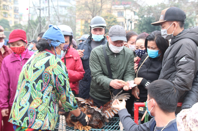 Người dân Hà Nội 'giải cứu' 20 tấn gà đồi Hải Dương chỉ trong 5 ngày - 3 Người dân Hà Nội 'giải cứu' 20 tấn gà đồi Hải Dương chỉ trong 5 ngày - 3