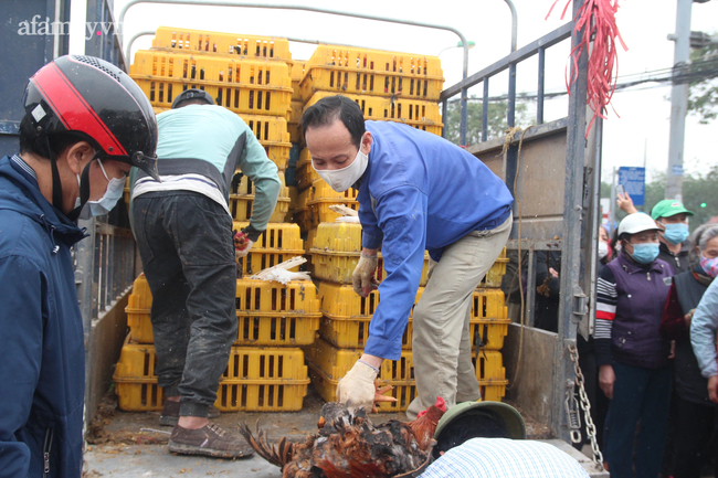 Người dân Hà Nội 'giải cứu' 20 tấn gà đồi Hải Dương chỉ trong 5 ngày - 2 Người dân Hà Nội 'giải cứu' 20 tấn gà đồi Hải Dương chỉ trong 5 ngày - 2