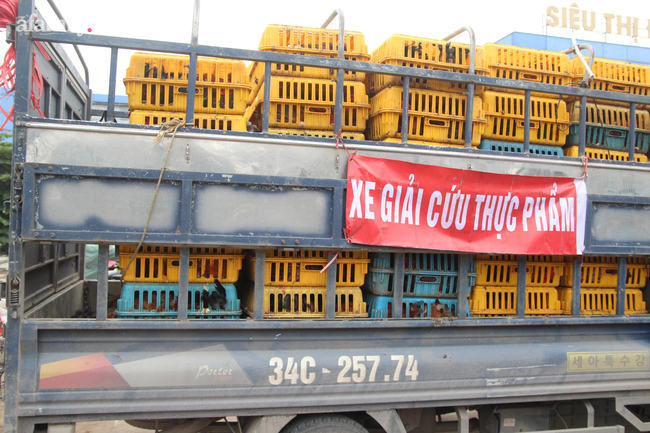 Người dân Hà Nội 'giải cứu' 20 tấn gà đồi Hải Dương chỉ trong 5 ngày - 6 Người dân Hà Nội 'giải cứu' 20 tấn gà đồi Hải Dương chỉ trong 5 ngày - 6