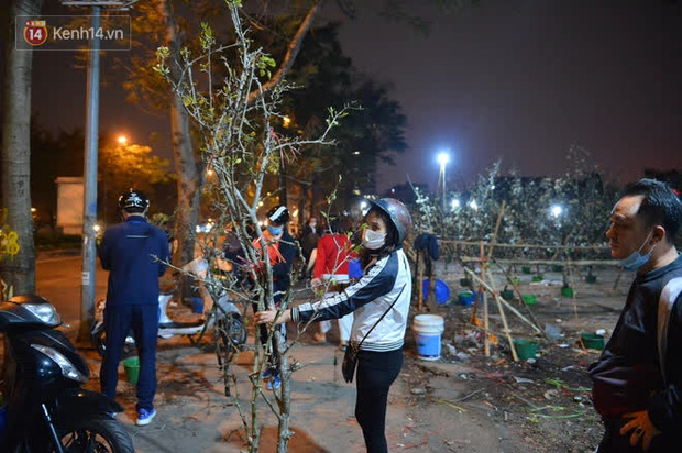 Người Hà Nội rộ mốt chơi hoa lê tiền triệu sau Tết, chuyên gia lên tiếng: 'Nên cấm việc chặt lê rừng' - 3 Người Hà Nội rộ mốt chơi hoa lê tiền triệu sau Tết, chuyên gia lên tiếng: 'Nên cấm việc chặt lê rừng' - 3