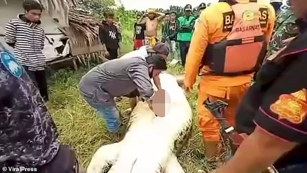 Hãi hùng bé trai 8 tuổi bị cá sấu nuốt chửng ở Indonesia Hãi hùng bé trai 8 tuổi bị cá sấu nuốt chửng ở Indonesia