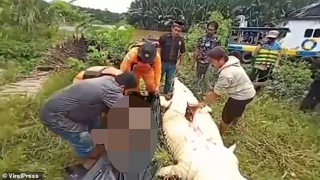 Hãi hùng bé trai 8 tuổi bị cá sấu nuốt chửng ở Indonesia - 1 Hãi hùng bé trai 8 tuổi bị cá sấu nuốt chửng ở Indonesia - 1