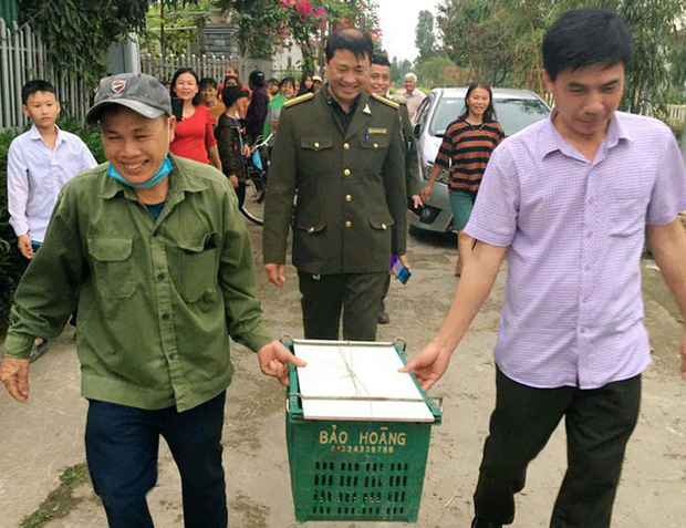 Kinh hãi phát hiện trăn gấm nặng 7kg bò vào vườn nhà dân ở Hà Tĩnh - 1 Kinh hãi phát hiện trăn gấm nặng 7kg bò vào vườn nhà dân ở Hà Tĩnh - 1