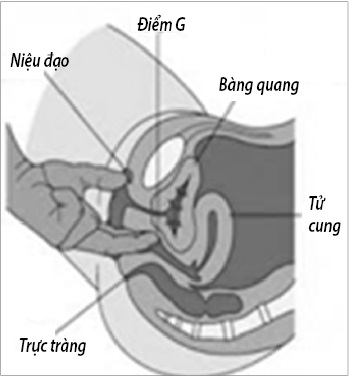 Thủ thuật làm tăng nhạy cảm 'điểm G': Trả lại sự thăng hoa cho phái đẹp Thủ thuật làm tăng nhạy cảm 'điểm G': Trả lại sự thăng hoa cho phái đẹp