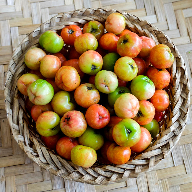 Loại quả có lượng vitamin C cao gấp 100 lần cam chanh giúp chị em đẹp da, giữ dáng lại phòng nhiều bệnh tật Loại quả có lượng vitamin C cao gấp 100 lần cam chanh giúp chị em đẹp da, giữ dáng lại phòng nhiều bệnh tật