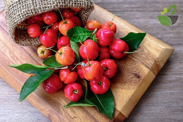 Loại quả có lượng vitamin C cao gấp 100 lần cam chanh giúp chị em đẹp da, giữ dáng lại phòng nhiều bệnh tật - 3 Loại quả có lượng vitamin C cao gấp 100 lần cam chanh giúp chị em đẹp da, giữ dáng lại phòng nhiều bệnh tật - 3