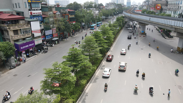 Ảnh: Phong lá đỏ 'thất bại' và đây là những hình ảnh xanh mướt của bàng lá nhỏ - loại cây sẽ thay thế hàng phong trong tương lai - 1 Ảnh: Phong lá đỏ 'thất bại' và đây là những hình ảnh xanh mướt của bàng lá nhỏ - loại cây sẽ thay thế hàng phong trong tương lai - 1
