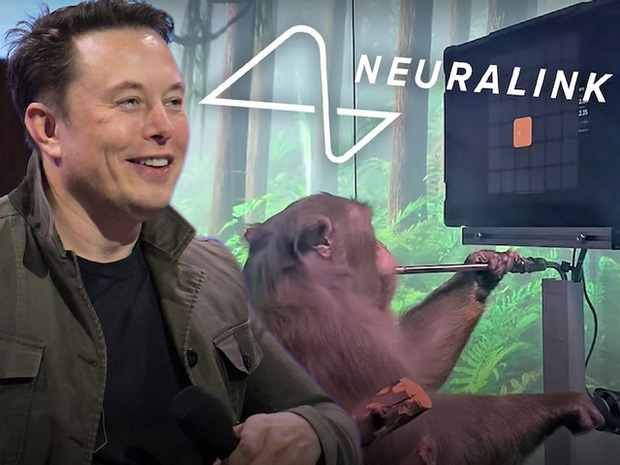 Tận mắt chứng kiến con khỉ của Elon Musk chơi game như người Tận mắt chứng kiến con khỉ của Elon Musk chơi game như người