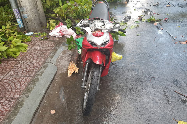 TP.HCM: Cây xanh ngã đổ ra đường, đè trúng tài xế Gojek đang chở khách nữ lưu thông - 1 TP.HCM: Cây xanh ngã đổ ra đường, đè trúng tài xế Gojek đang chở khách nữ lưu thông - 1