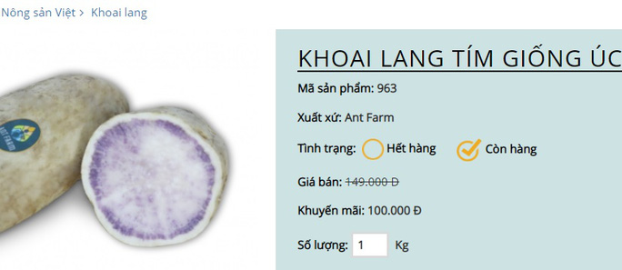 Khuyến mãi sâu, khoai lang tím Úc vẫn có giá 100.000 đồng/kg - 2 Khuyến mãi sâu, khoai lang tím Úc vẫn có giá 100.000 đồng/kg - 2