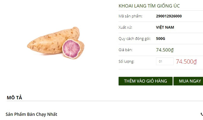 Khuyến mãi sâu, khoai lang tím Úc vẫn có giá 100.000 đồng/kg - 1 Khuyến mãi sâu, khoai lang tím Úc vẫn có giá 100.000 đồng/kg - 1