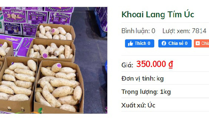 Khuyến mãi sâu, khoai lang tím Úc vẫn có giá 100.000 đồng/kg Khuyến mãi sâu, khoai lang tím Úc vẫn có giá 100.000 đồng/kg