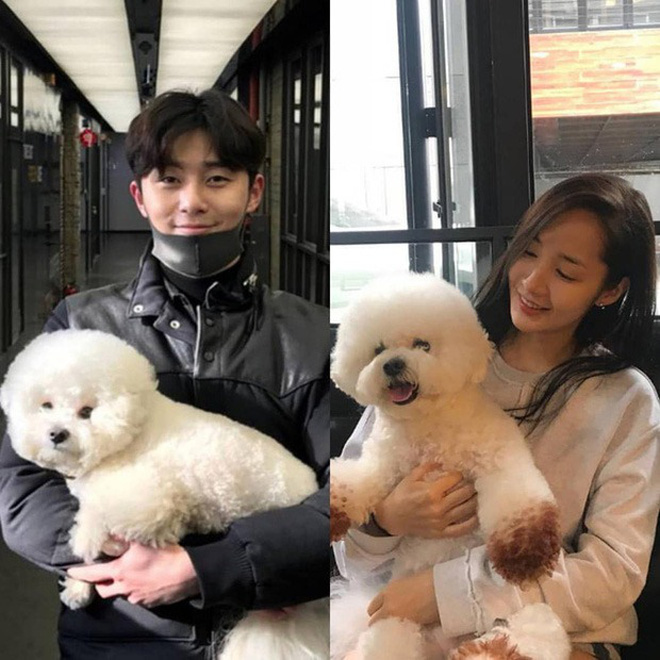 Park Min Young - Park Seo Joon cùng đăng ảnh đi ngắm hoa anh đào, dân tình lại rần rần mong cả hai công khai tình cảm - 8 Park Min Young - Park Seo Joon cùng đăng ảnh đi ngắm hoa anh đào, dân tình lại rần rần mong cả hai công khai tình cảm - 8
