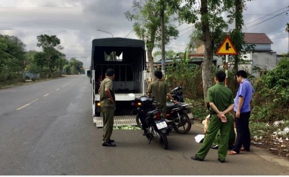 Tông vào gốc cây ven đường, 2 thiếu niên tử vong thương tâm Tông vào gốc cây ven đường, 2 thiếu niên tử vong thương tâm