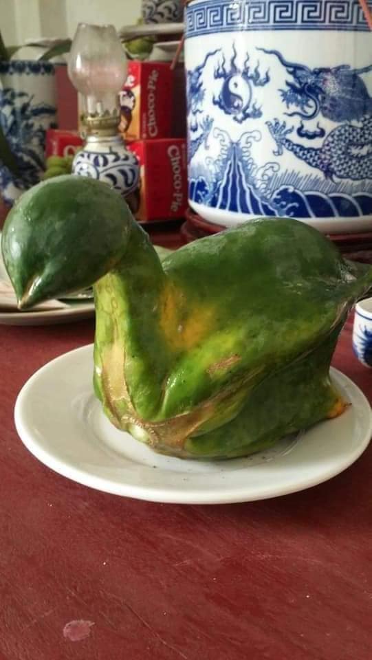 Dân mạng 'phát sốt' với chiếc đu đủ 'uốn éo' thành hình thiên nga cực độc Dân mạng 'phát sốt' với chiếc đu đủ 'uốn éo' thành hình thiên nga cực độc