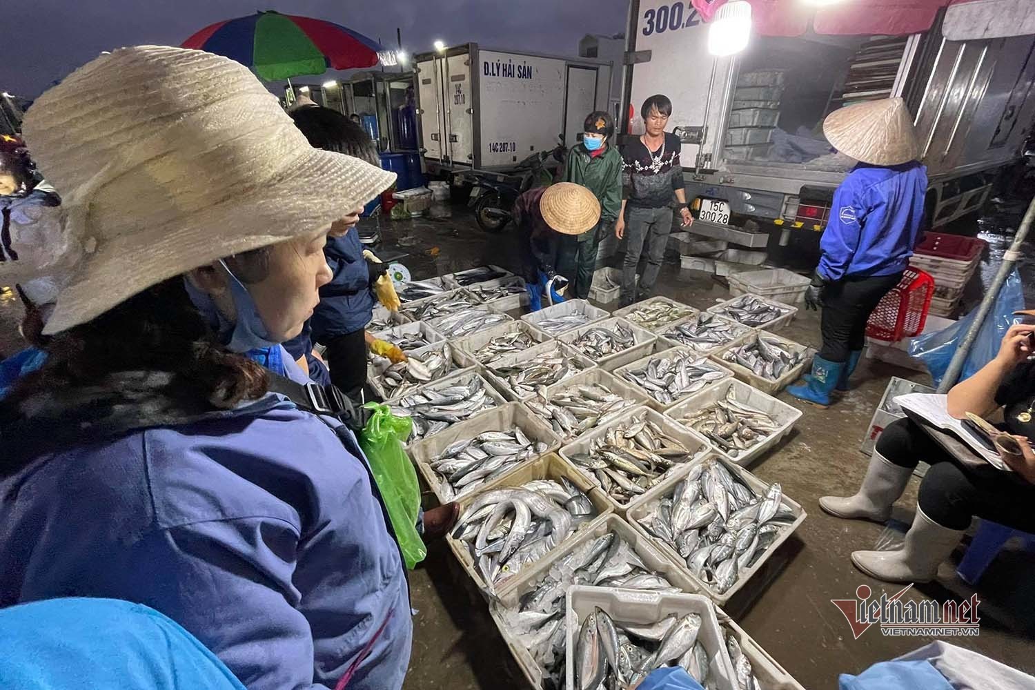 Chợ cá không ngủ nhộn nhịp nhất Hạ Long - 2 Chợ cá không ngủ nhộn nhịp nhất Hạ Long - 2