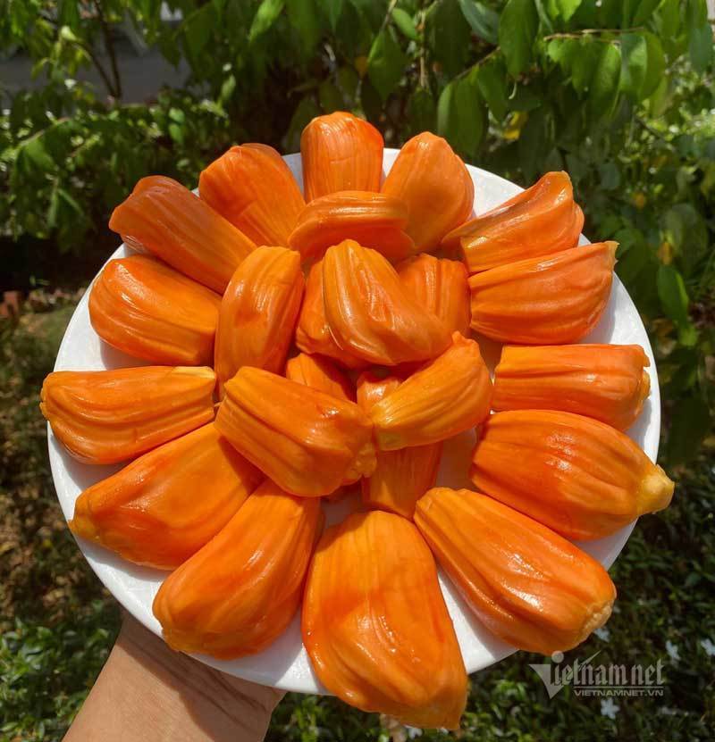 Mít lạ ở miền Tây, từ khách Nga cho tới Dubai đều tranh nhau mua - 3 Mít lạ ở miền Tây, từ khách Nga cho tới Dubai đều tranh nhau mua - 3