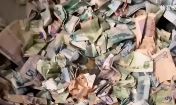 Tò mò mở thùng rượu trong tủ quần áo, con trai khiến bố 'méo mặt' vì lộ bí mật giấu kín 10 năm Tò mò mở thùng rượu trong tủ quần áo, con trai khiến bố 'méo mặt' vì lộ bí mật giấu kín 10 năm