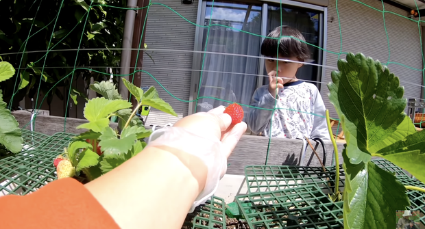 Quỳnh Trần JP tiếp tục gây tranh cãi vì nhắc bé Sa 'chào cô chú' giữa trời nắng gắt, netizen có đang 'khó tính' quá chăng? - 2 Quỳnh Trần JP tiếp tục gây tranh cãi vì nhắc bé Sa 'chào cô chú' giữa trời nắng gắt, netizen có đang 'khó tính' quá chăng? - 2