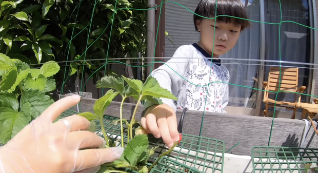 Quỳnh Trần JP tiếp tục gây tranh cãi vì nhắc bé Sa 'chào cô chú' giữa trời nắng gắt, netizen có đang 'khó tính' quá chăng? - 3 Quỳnh Trần JP tiếp tục gây tranh cãi vì nhắc bé Sa 'chào cô chú' giữa trời nắng gắt, netizen có đang 'khó tính' quá chăng? - 3