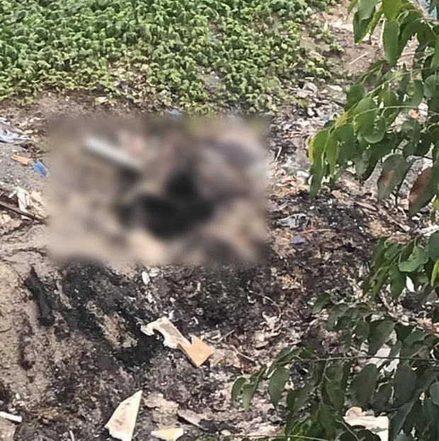 Đi câu cá phát hiện thi thể người đàn ông cháy đen dưới chân cầu Đi câu cá phát hiện thi thể người đàn ông cháy đen dưới chân cầu