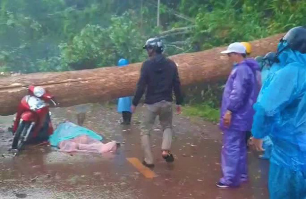 Mưa lớn kèm giông lốc quật cây rừng ngã đổ, đè 2 phụ nữ thương vong Mưa lớn kèm giông lốc quật cây rừng ngã đổ, đè 2 phụ nữ thương vong
