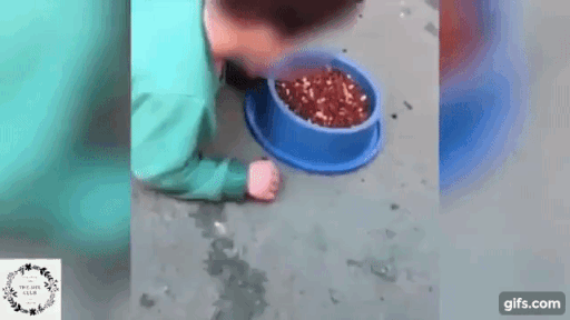 Mẹ bắt con trai vục đầu vào bát thức ăn dành cho chó rồi vô tư cười nói, quay video gửi mẹ chồng, đến lúc bị bắt vẫn mạnh miệng biện minh Mẹ bắt con trai vục đầu vào bát thức ăn dành cho chó rồi vô tư cười nói, quay video gửi mẹ chồng, đến lúc bị bắt vẫn mạnh miệng biện minh