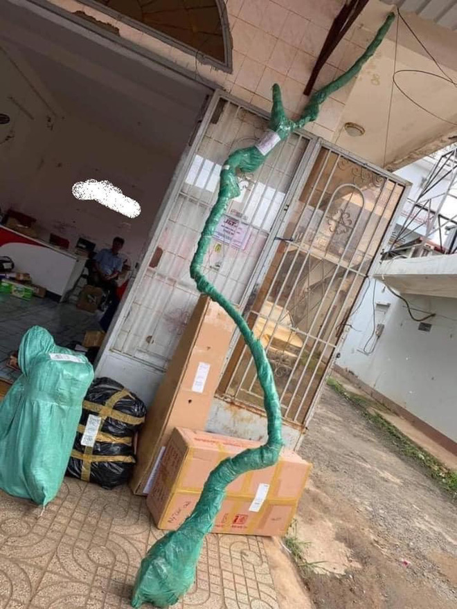 Nhìn đơn hàng 'dài như cái cây' khiến hai người khiêng còn chật vật, shipper tái mặt nhưng vẫn cố gắng đi giao Nhìn đơn hàng 'dài như cái cây' khiến hai người khiêng còn chật vật, shipper tái mặt nhưng vẫn cố gắng đi giao