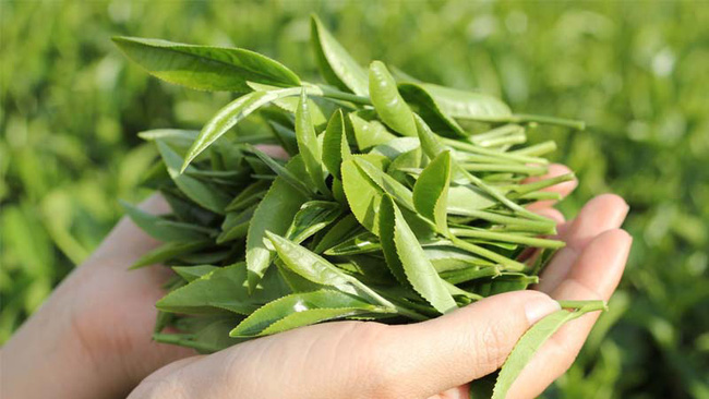 Miền Bắc nắng đổ lửa, nhiều nơi trên 40 độ C: Chuyên gia cảnh báo cẩn trọng sốc nhiệt gây đột quỵ, tử vong! - 3 Miền Bắc nắng đổ lửa, nhiều nơi trên 40 độ C: Chuyên gia cảnh báo cẩn trọng sốc nhiệt gây đột quỵ, tử vong! - 3
