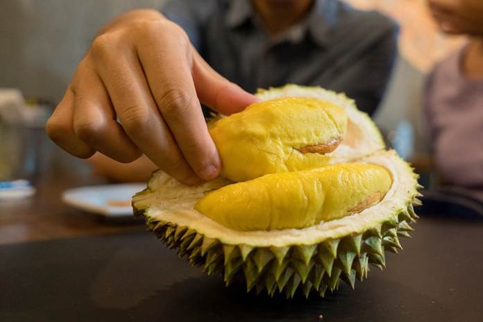 Sầu riêng rất ngon nhưng người có 6 đặc điểm dưới đây ăn vào sẽ 'ôm họa' và cần lưu ý vài điều để ăn sầu không bị nóng, không tăng cân Sầu riêng rất ngon nhưng người có 6 đặc điểm dưới đây ăn vào sẽ 'ôm họa' và cần lưu ý vài điều để ăn sầu không bị nóng, không tăng cân