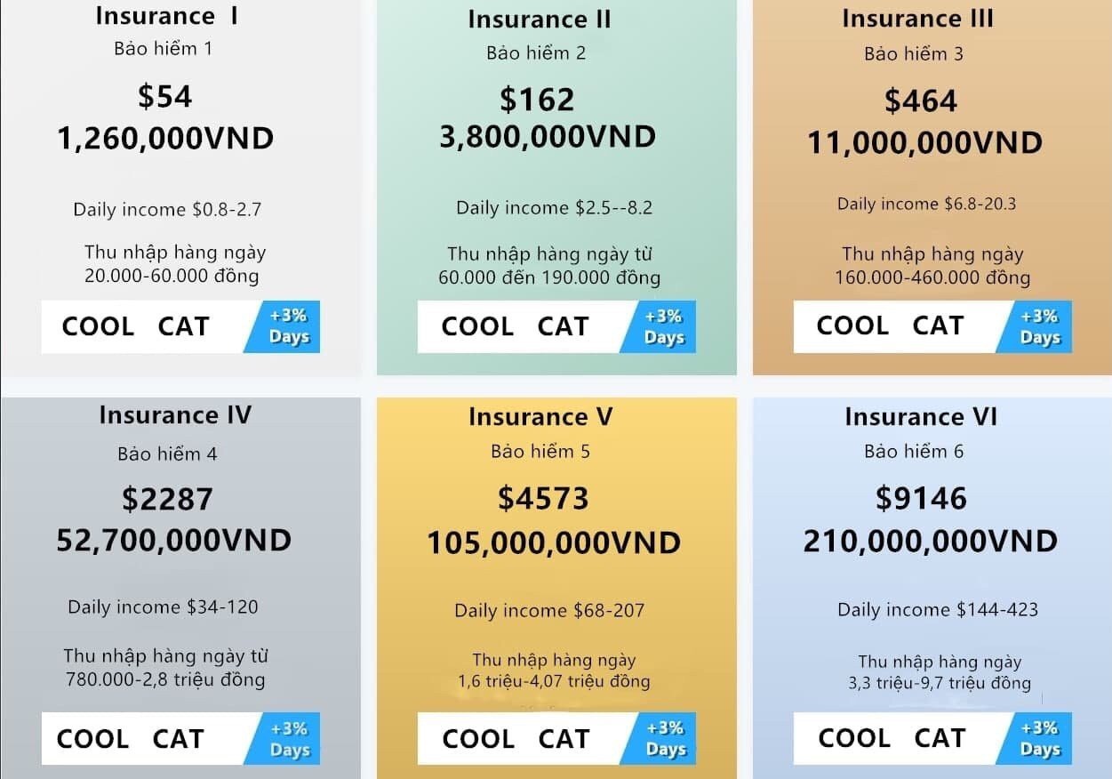 Nhảy vào sàn ảo Coolcat, tham giàu nhanh mất đứt sổ đỏ 5 căn nhà Nhảy vào sàn ảo Coolcat, tham giàu nhanh mất đứt sổ đỏ 5 căn nhà