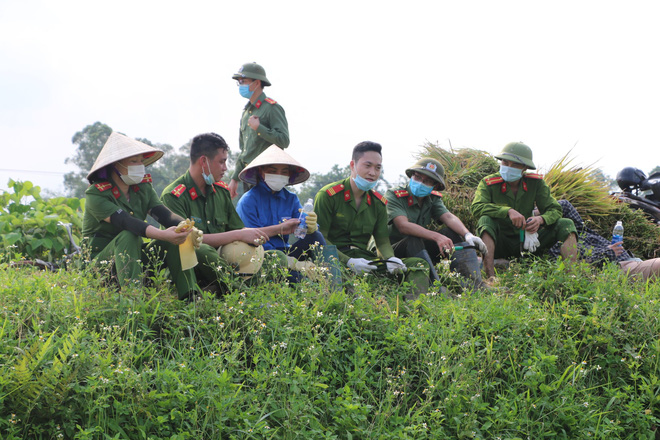 Công an xuống xã lội ruộng gặt lúa giúp các F1, F2 đang phải cách ly - 9 Công an xuống xã lội ruộng gặt lúa giúp các F1, F2 đang phải cách ly - 9
