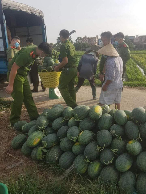 Nắng nóng gay gắt, công an Bắc Giang phơi mình giúp người dân thu hoạch dưa hấu - 2 Nắng nóng gay gắt, công an Bắc Giang phơi mình giúp người dân thu hoạch dưa hấu - 2