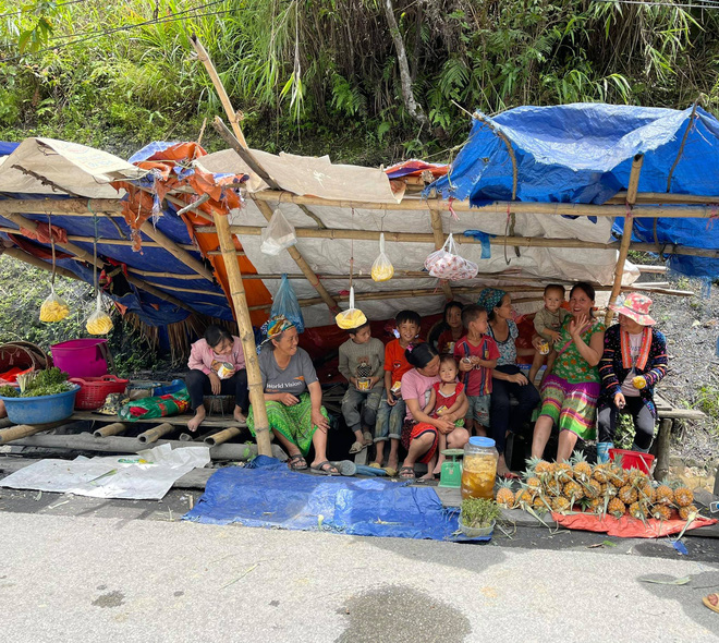 Ông Đoàn Ngọc Hải quay xe 10km để mua hàng trăm quả dứa vì 1 câu nói của người H'Mông - 2 Ông Đoàn Ngọc Hải quay xe 10km để mua hàng trăm quả dứa vì 1 câu nói của người H'Mông - 2