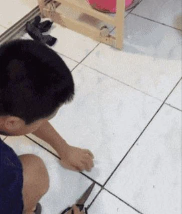 Vợ phát hiện 'quỹ đen' của chồng từ một viên gạch nứt Vợ phát hiện 'quỹ đen' của chồng từ một viên gạch nứt