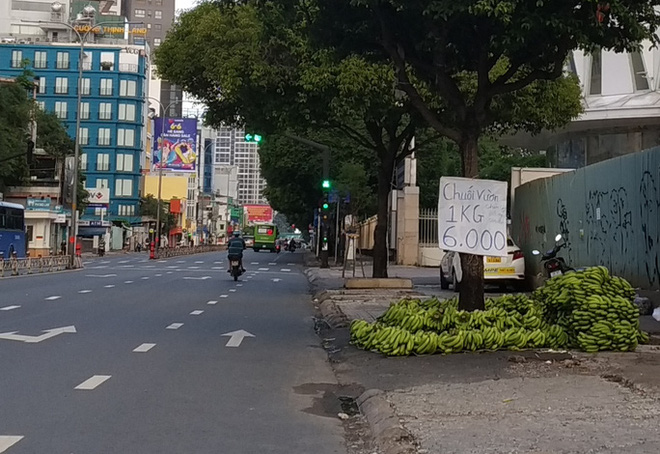 Giá chuối rớt thảm khi Trung Quốc thừa cung Giá chuối rớt thảm khi Trung Quốc thừa cung