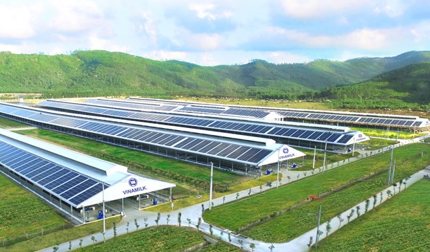 Siêu dự án trang trại của Vinamilk tại Lào sẽ 'cho sữa' vào đầu 2022 - 3 Siêu dự án trang trại của Vinamilk tại Lào sẽ 'cho sữa' vào đầu 2022 - 3
