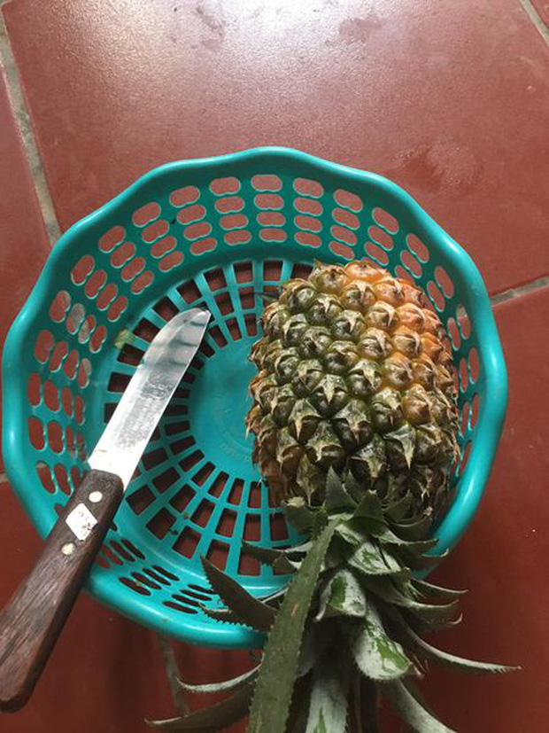Nhờ chồng mua giúp quả dứa về nấu canh chua, cô vợ 'than trời' vì phải ngồi gọt vỏ cả buổi, nhìn thành phẩm còn bất ngờ hơn Nhờ chồng mua giúp quả dứa về nấu canh chua, cô vợ 'than trời' vì phải ngồi gọt vỏ cả buổi, nhìn thành phẩm còn bất ngờ hơn