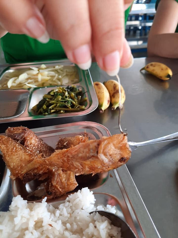 Đi ăn cơm hàng, cô nàng rùng mình khi tìm thấy lưỡi câu từ miệng con cá, dân mạng lại chỉ ra 1 điểm đáng 'lạc quan' Đi ăn cơm hàng, cô nàng rùng mình khi tìm thấy lưỡi câu từ miệng con cá, dân mạng lại chỉ ra 1 điểm đáng 'lạc quan'