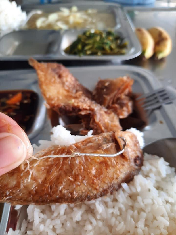 Đi ăn cơm hàng, cô nàng rùng mình khi tìm thấy lưỡi câu từ miệng con cá, dân mạng lại chỉ ra 1 điểm đáng 'lạc quan' - 2 Đi ăn cơm hàng, cô nàng rùng mình khi tìm thấy lưỡi câu từ miệng con cá, dân mạng lại chỉ ra 1 điểm đáng 'lạc quan' - 2