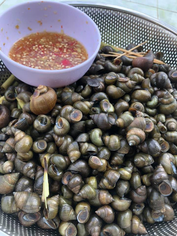 Cô nàng khiến dân mạng rùng mình vì cách 'thu hoạch' ốc ở quê nhà, nhưng ai cũng thay đổi sắc thái 180 độ khi thấy kết quả cuối cùng - 4 Cô nàng khiến dân mạng rùng mình vì cách 'thu hoạch' ốc ở quê nhà, nhưng ai cũng thay đổi sắc thái 180 độ khi thấy kết quả cuối cùng - 4